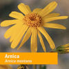 Picture of Herb Pharm Certified Organic Arnica Oil - 4 Ounce