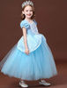 Picture of Girls Princess Dress Fancy Costume Role Play Ball Gown Halloween Party Dress up (With accessories, 2-3 Years)