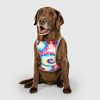 Picture of Canada Pooch Chill Seeker Cooling Vest (18, Tie Dye)