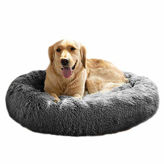 Dog beds for dogs over hot sale 100 lbs