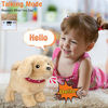 Picture of Koonie Talking Golden Retriever, Repeats What You Say, Plush Animal Electronic Interactive Toy, Repeating Singing Walking and Barking Pet, Stuffed Puppy Walking Dog for Kids Boys Girls Gift