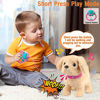 Picture of Koonie Talking Golden Retriever, Repeats What You Say, Plush Animal Electronic Interactive Toy, Repeating Singing Walking and Barking Pet, Stuffed Puppy Walking Dog for Kids Boys Girls Gift