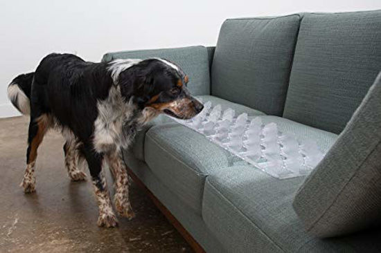 Picture of Couch Guard & Furniture Protector - Keep Dogs & Pets Safely Off Furniture (Pack of 4 /Clear) Made in USA!