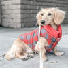 Picture of DJANGO Puffer Dog Jacket and Reversible Cold Weather Dog Coat with Full Coverage and Windproof Protection (Large, Lava Red/Buffalo Plaid)