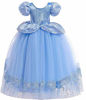 Picture of Romy's Collection Princess Cinderella Blue Toddler Girls Costume Dress Up (6-7, Blue 04)