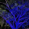 Picture of Lunmore Firefly Garden Lights Star Projector Laser Christmas Lights