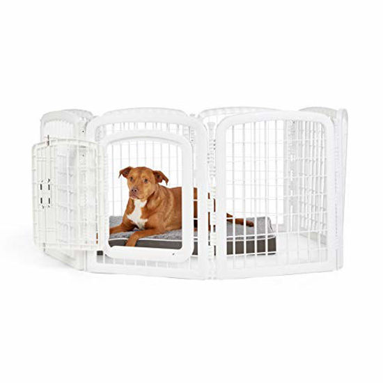 Plastic pet outlet enclosure