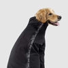 Picture of Canada Pooch Dog Slush Suit Dog Bodysuit for Rain and Snow Full Body Dog Suit Water-Resistent Dog Onesie - Black/Size 18