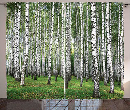 Picture of Ambesonne Landscape Curtains, Autumn Trees in Birch Forest September Time View Landscape Picture, Living Room Bedroom Window Drapes 2 Panel Set, 108" X 84", White Black