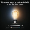 Picture of Philips Hue White Ambiance Dimmable Smart Filament ST19, Warm-White to Cool-White LED Vintage Edison Bulb, Bluetooth & Hub Compatible (Hue Hub Optional), Voice Activated with Alexa, 2-Pack