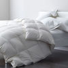 Picture of DWR Lightweight Goose Duck Feather Down Comforter Queen, 100% Skin-Friendly Cotton, Summer Warm Weather Bed Quilt, Thin All-Season Duvet Insert for Hot Sleepers (Ivory White, 90x90)