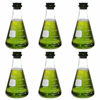 Picture of Corning Pyrex #4980-500, 500ml Narrow Mouth Erlenmeyer Flask with Rubber Stopper (Pack of 6)