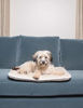 Picture of Dog Gone Smart Sleeper Cushion, XX-Large, Espresso