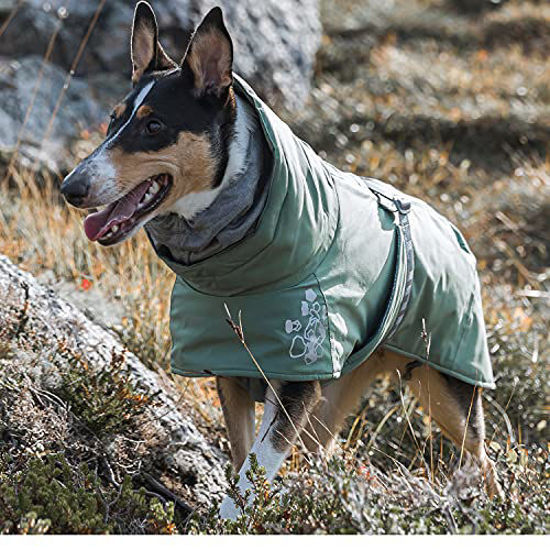 Picture of Hurtta Extreme Warmer 2, Winter Dog Coat ECO, Hedge, 12 in