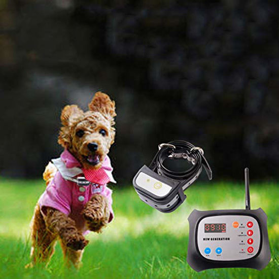 2 in 1 2024 wireless dog fence