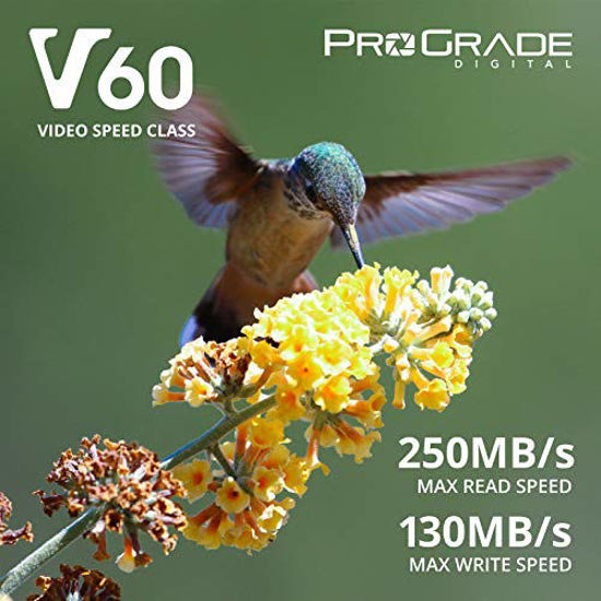 Picture of Prograde Digital SD UHS-II 256GB Card V60 -Up to 130MB/s Write Speed and 250 MB/s Read Speed | for Professional Vloggers, Filmmakers, Photographers & Content Curators