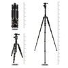 Picture of ZOMEI Z669C Carbon Fiber Portable Tripod with Ball Head Compact Travel for Canon,Sony, Nikon, Samsung, Panasonic, Olympus, Fuji, Cameras and Video Camera