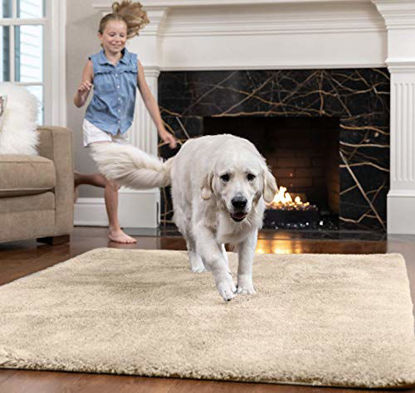 https://www.getuscart.com/images/thumbs/0889562_gorilla-grip-original-ultra-soft-area-rug-75x10-ft-many-colors-luxury-shag-carpets-fluffy-indoor-was_415.jpeg