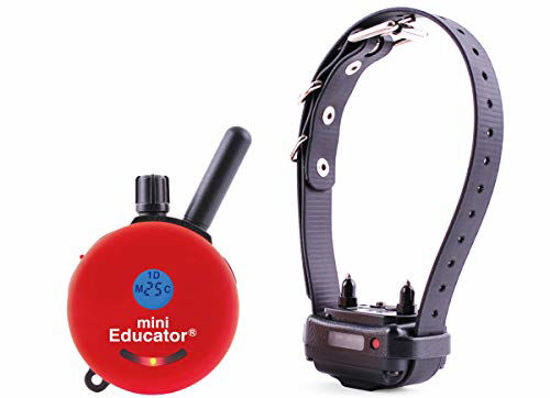 Educator hotsell shock collar