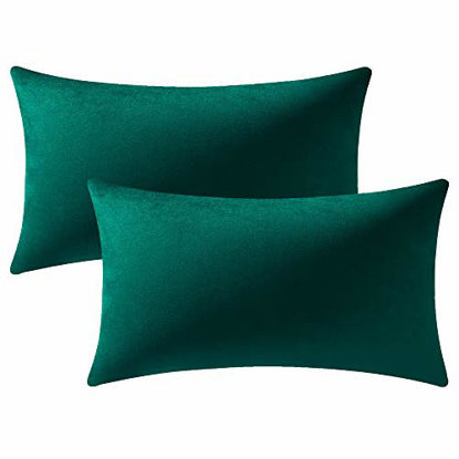 Picture of Decorative Pillow Covers 12x20 Green: 2 Pack Cozy Soft Velvet Rectangular Throw Pillow Cases for Farmhouse Home Decor, DEZENE