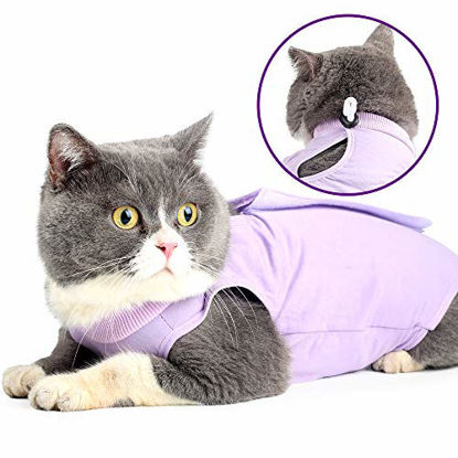 Picture of Cat Professional Recovery Suit for Abdominal Wounds or Skin Diseases, E-Collar Alternative for Cats and Dogs, After Surgery Wear, Pajama Suit (L, Purple)