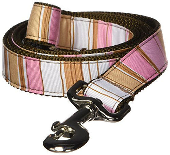 Picture of Large Brown/Multi Stripe Dog Leash: 1" Wide, 6ft Length - Made in USA.