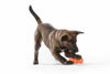 Picture of West Paw Zogoflex Rumpus Dog Chew Toy - Floatable Toy for Dogs, Aggressive Chewers - Puppy Chewing Toys for Catch, Fetch - Recyclable, Dishwasher-Safe, Non-Toxic, Small, Tangerine