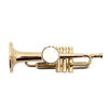 Picture of Gold Trumpet Miniature Replica Magnet, Size 2.5 inch