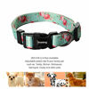 Picture of Ihoming Dog Collar and Leash Set for Daily Outdoor Walking Running Training, Floral Spring Design for Large Boys Girls Dogs Cats Pets, L-Up to 80LBS