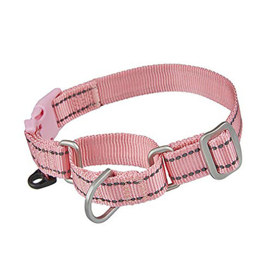 Martingale collar hot sale safe