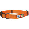 Picture of Pawtitas Reflective Dog Collar with Stitching Reflective Thread | Reflective Dog Collar with Buckle Adjustable and Better Training Great Collar for Large Dogs - Orange Collar