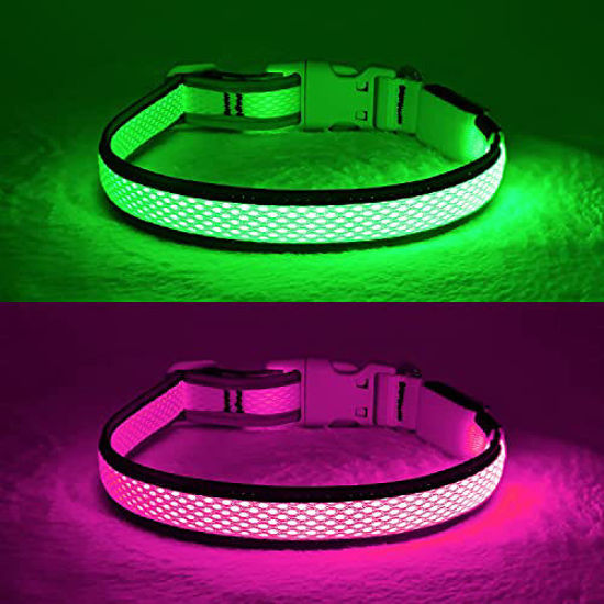 Flashing dog clearance collar