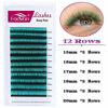 Picture of Volume Eyelash Extensions Green Self Fanning Lashes Thickness 0.07 C Curl 15-20mm Mix Premade Fans 2D 3D 5D 10D Easy Fan Lash Volume Eyelash Extension Used by FADVAN (Green 0.07-C, 15-20mm)