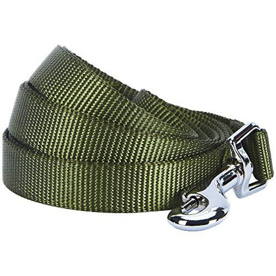 Picture of Blueberry Pet Essentials 19 Colors Durable Classic Dog Leash 5 ft x 3/8", Military Green, X-Small, Basic Nylon Leashes for Puppies