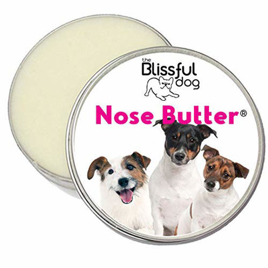 Picture of The Blissful Dog Jack Russel Terrier Nose Butter - Dog Nose Butter, 2 Ounce