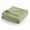 Picture of Martex Super Soft Fleece Blanket, Twin, Sage