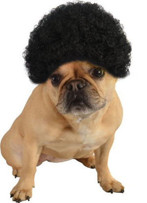 Picture of Rubie's Pet Costume Afro Curly Wig, Small To Medium, Black