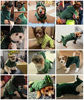 Picture of Dogs Clothes Small Pet Costume Halloween Dinosaur Costume Dog Clothing Puppy Outfits Funny Apperal (M)