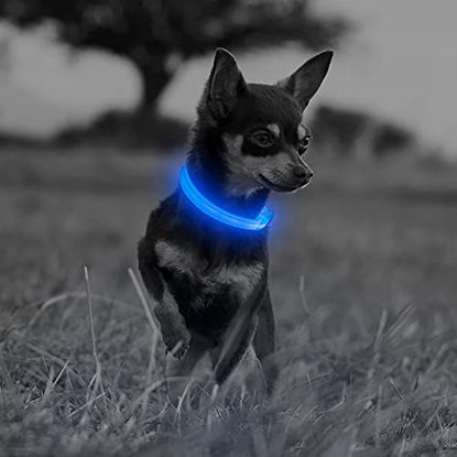 Picture of Illumifun LED Dog Collar, USB Rechargeable Glowing Pet Safety Collar, Adjustable Nylon Webbing Light Up Collars for Your Puppy (Blue3, X-Small)