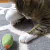 Picture of munchiecat 2-Pc Olive Catnip Toys for Cats with Bells | Housewarming Gift (2-Pc Olive)