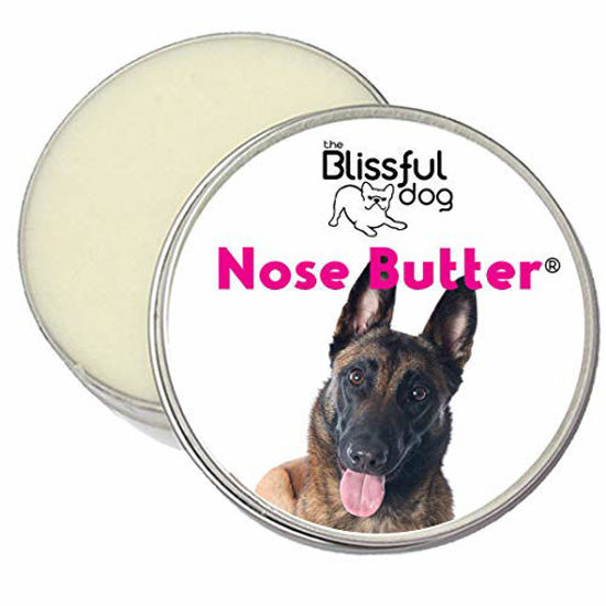 German shepherd shop nose butter