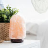 Picture of 7 Inch Himalayan Salt Lamp with Dimmer Cord - Night Light Natural Crystal Rock Classic Wood Base Authentic from Pakistan