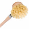 Picture of Redecker Tampico Fiber Dish Brush with Untreated Beechwood Handle, 9-Inches