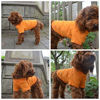 Picture of Lovelonglong 2019 Pet Clothing Dog Costumes Basic Blank T-Shirt Tee Shirts for Small Dogs Orange L