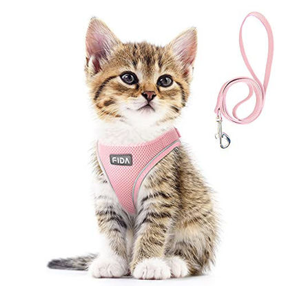 Vibrant Life Reflective Step-in Dog Harness, Salmon Pink, Medium (16-18  Chest Size) 