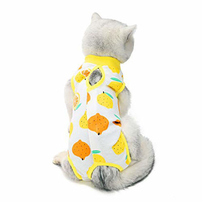 Picture of TORJOY Kitten Recovery Suit Spay,Cat Recovery Suit for Abdominal Wounds or Skin Diseases,E-Collar Alternative for Cats Dogs, After Surgey Wear, Recommended by Vets (M (6-8 1bs), Lemon)