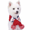 Picture of Blueberry Pet Vintage Ugly Christmas Reindeer Holiday Festive Dog Scarf in Tango Red & Navy Blue, Large