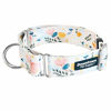 Picture of Downtown Pet Supply Big and Wide Durable Martingale Training Collars for Dogs and Puppy in Small, Medium, Large, and Extra Large Dog Collar (Floral, Medium)