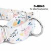 Picture of Downtown Pet Supply Big and Wide Durable Martingale Training Collars for Dogs and Puppy in Small, Medium, Large, and Extra Large Dog Collar (Floral, Medium)