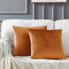 Picture of GIGIZAZA Decorative Throw Pillow Covers for Sofa,Cinnamon Orange Velvet Bed 2 Pack Soft Cushion Cover